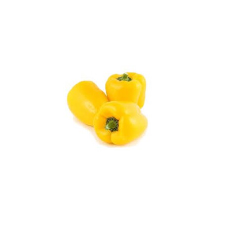 Poivrons Jaune