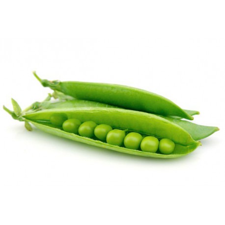 Petit pois (500gr)