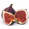 Figues