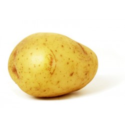 Grosse patate (2kilos ) extra