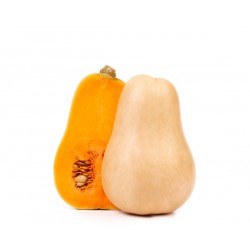 Courge butternut Local