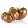 Tomate noire Local 500gr
