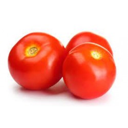 Tomate ronde PROMO