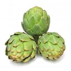 Artichaut très gros vert PROMO