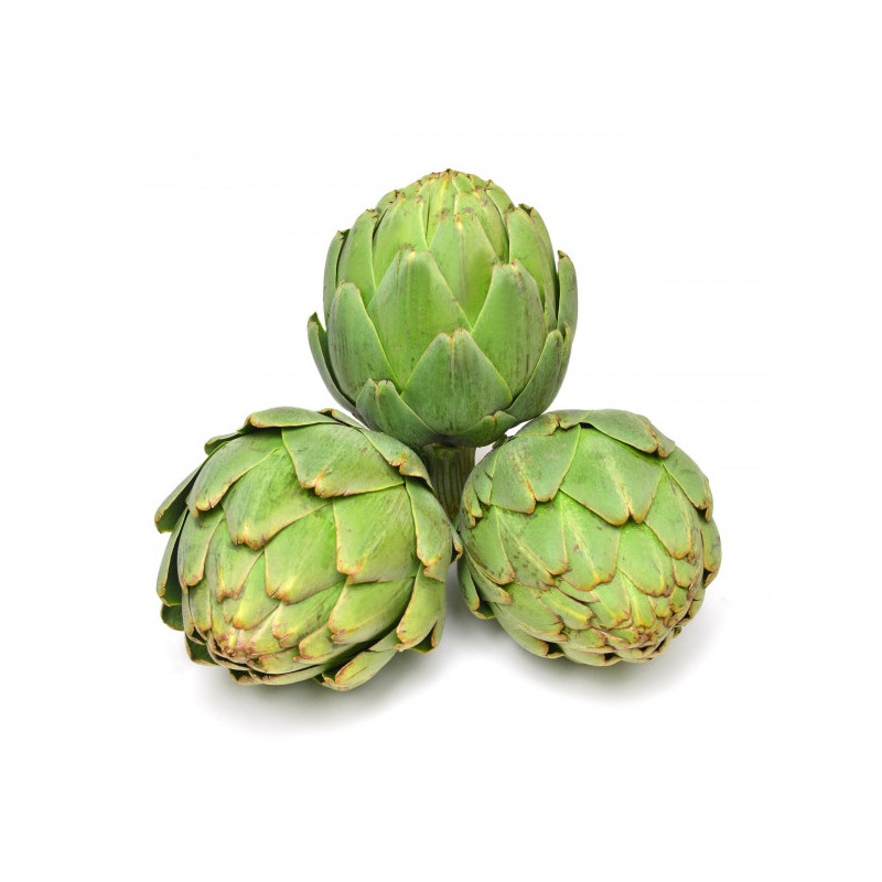 Artichaut très gros vert PROMO