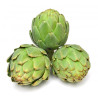 Artichaut très gros vert PROMO