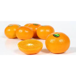 Clémentine (l’excellence)