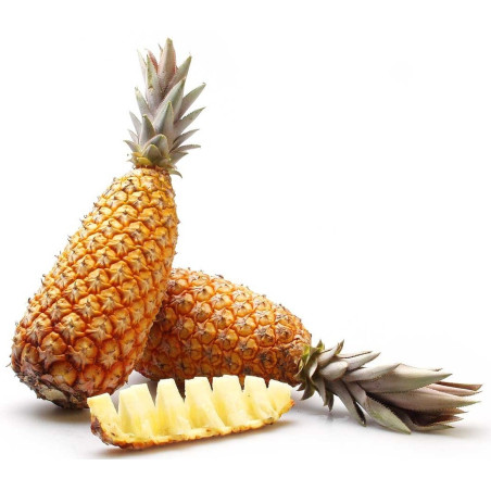 °Ananas Pain de Sucre très gros