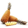 °Ananas Pain de Sucre très gros