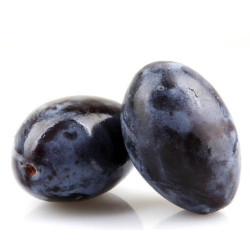Prune  quetsches 500gr