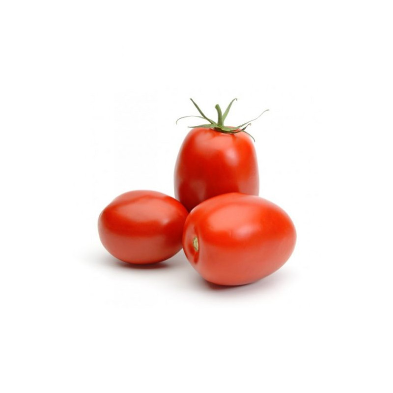 Tomate ronde