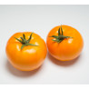 Tomate jaune 500gr Local