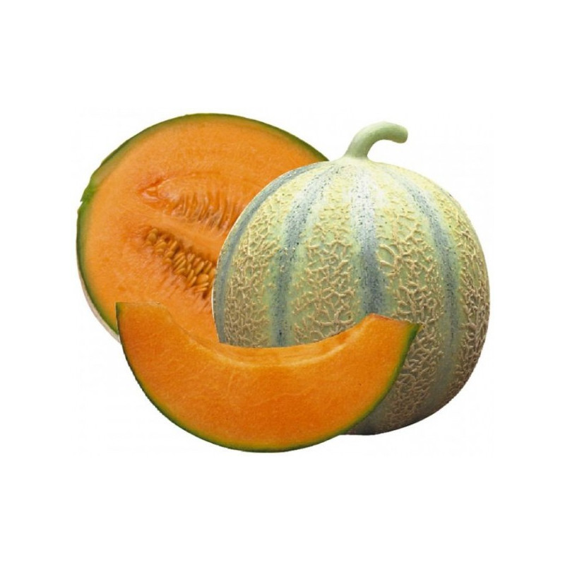 Melon extra gôut