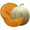 Melon extra gôut