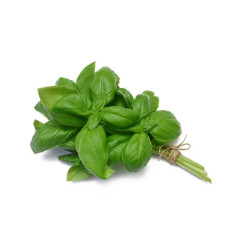 T Bouquet Basilic local
