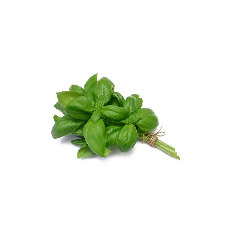 T Bouquet Basilic local
