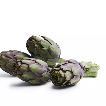 Artichaut bouquet