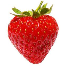 Fraise magnum extra