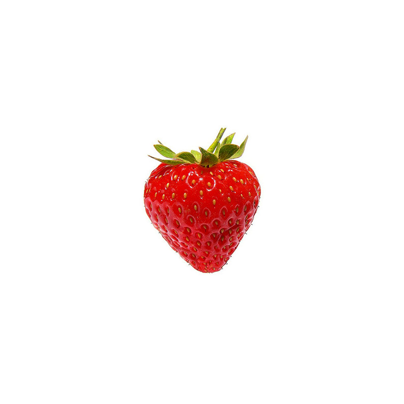 Fraise magnum extra