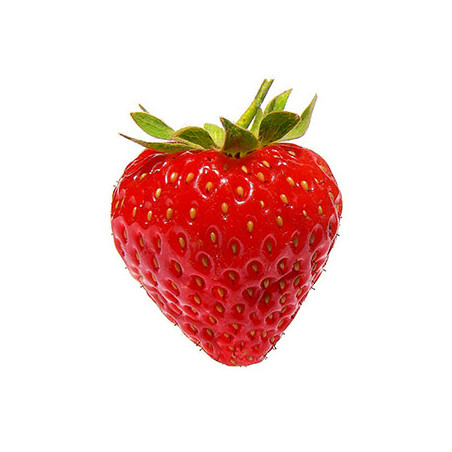 Fraise magnum extra