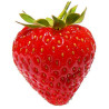Fraise magnum extra