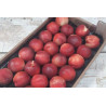 Brugnon jaune top 4 kilo