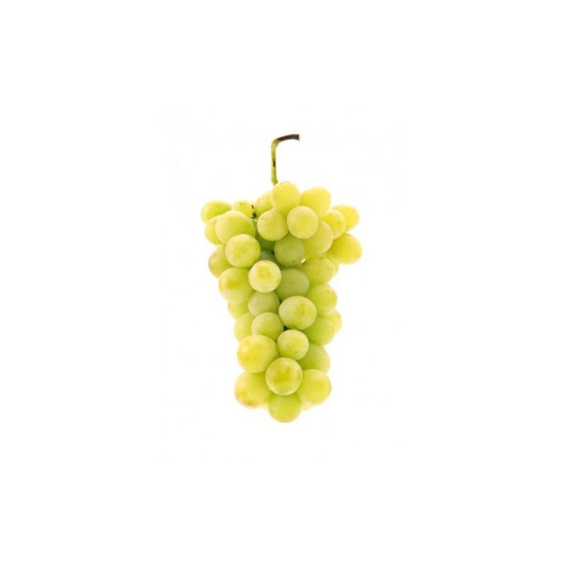 Raisin italia extra ce qui existe de mieux