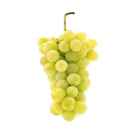 Raisin italia extra ce qui existe de mieux
