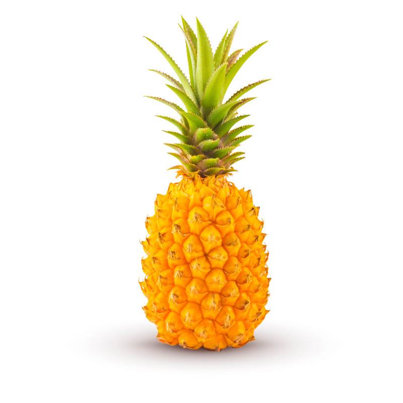 Ananas victoria