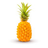 Ananas victoria